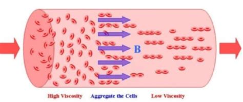 measure thickness of blood|how to check blood viscosity.